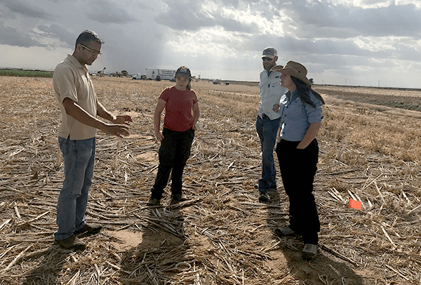 researchers in a crop field